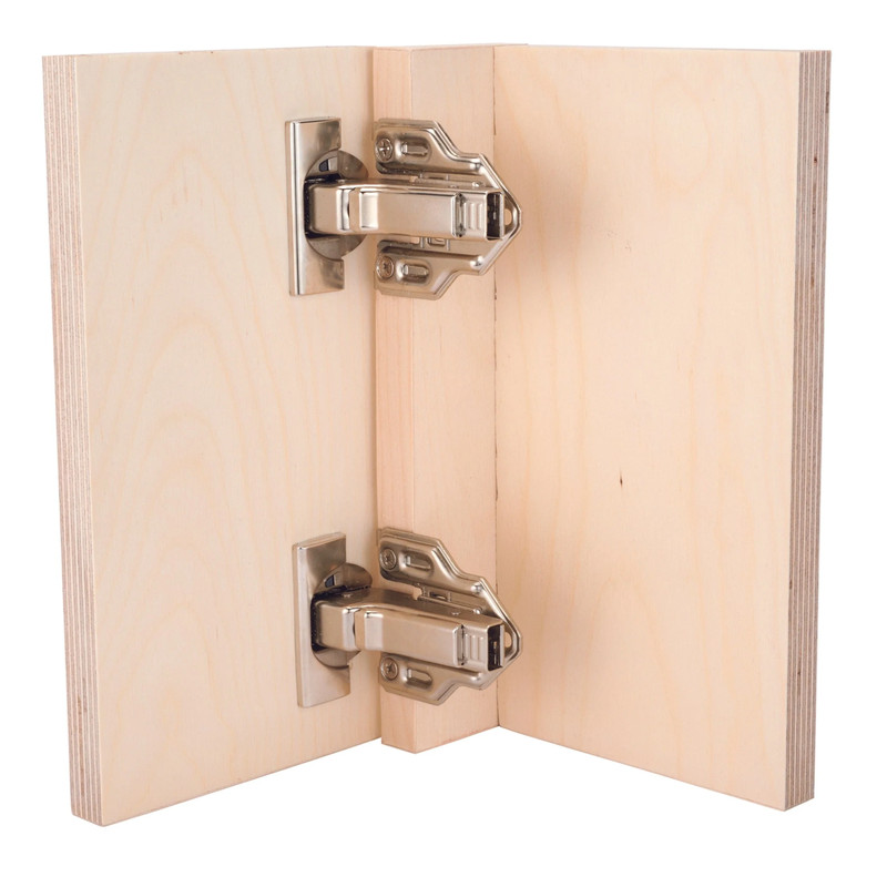 Clip Top Face Frame Hinge - Pair - Degree:110 Degree - Overlay:Partial - Features:With Blumotion